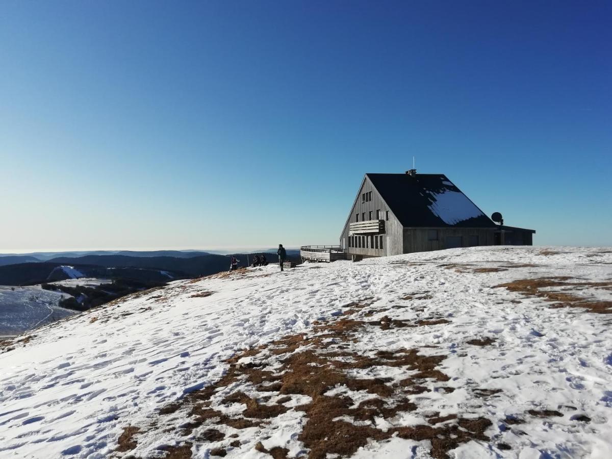 Hameau Des Chaumes Vue Panoramique Lejlighed La Bresse Eksteriør billede