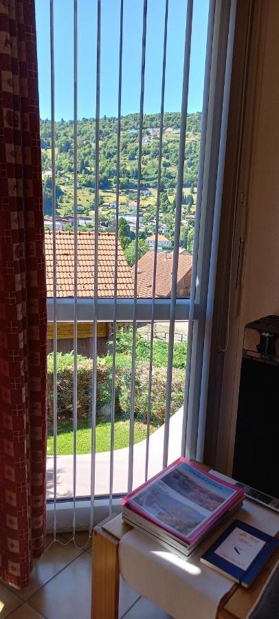 Hameau Des Chaumes Vue Panoramique Lejlighed La Bresse Eksteriør billede